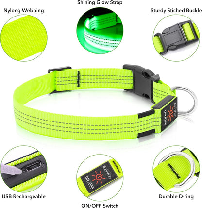 Light Up Dog Collar, USB Rechargeable LED Dog Collar Glow in the Dark，Adjustable Pet Safety Lights for Night Walking (Green, Medium)
