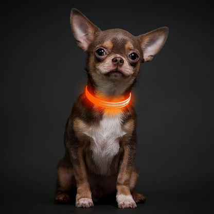Light Up Dog Collar, USB Rechargeable LED Dog Collar Glow in the Dark，Adjustable Pet Safety Lights for Night Walking (Green, Medium)