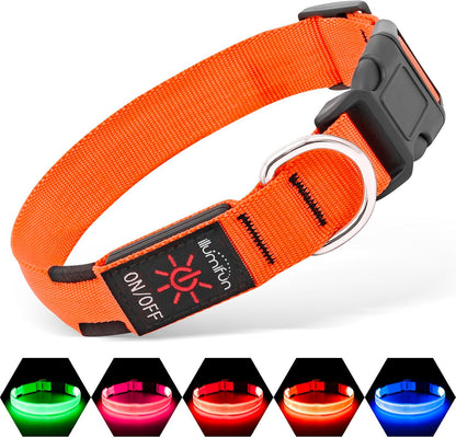 Light Up Dog Collar, USB Rechargeable LED Dog Collar Glow in the Dark，Adjustable Pet Safety Lights for Night Walking (Green, Medium)