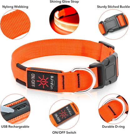 Light Up Dog Collar, USB Rechargeable LED Dog Collar Glow in the Dark，Adjustable Pet Safety Lights for Night Walking (Green, Medium)