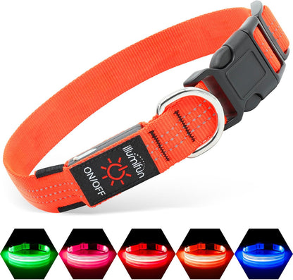 Light Up Dog Collar, USB Rechargeable LED Dog Collar Glow in the Dark，Adjustable Pet Safety Lights for Night Walking (Green, Medium)