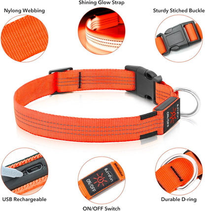 Light Up Dog Collar, USB Rechargeable LED Dog Collar Glow in the Dark，Adjustable Pet Safety Lights for Night Walking (Green, Medium)