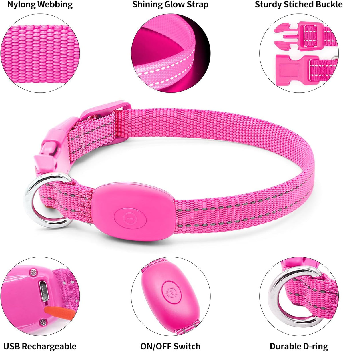 Light Up Dog Collar, USB Rechargeable LED Dog Collar Glow in the Dark，Adjustable Pet Safety Lights for Night Walking (Green, Medium)