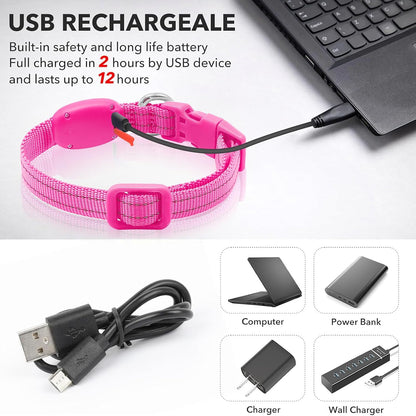 Light Up Dog Collar, USB Rechargeable LED Dog Collar Glow in the Dark，Adjustable Pet Safety Lights for Night Walking (Green, Medium)