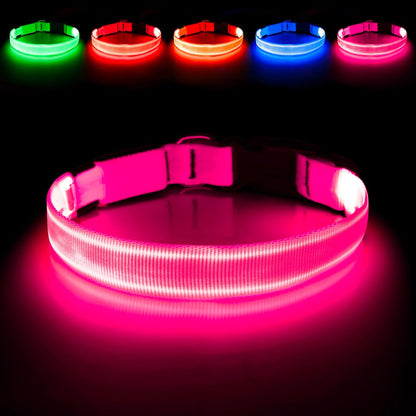 Light Up Dog Collar, USB Rechargeable LED Dog Collar Glow in the Dark，Adjustable Pet Safety Lights for Night Walking (Green, Medium)