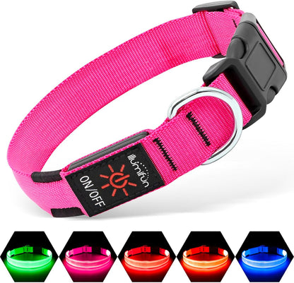 Light Up Dog Collar, USB Rechargeable LED Dog Collar Glow in the Dark，Adjustable Pet Safety Lights for Night Walking (Green, Medium)