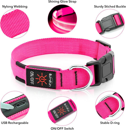Light Up Dog Collar, USB Rechargeable LED Dog Collar Glow in the Dark，Adjustable Pet Safety Lights for Night Walking (Green, Medium)
