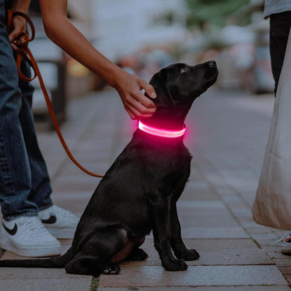 Light Up Dog Collar, USB Rechargeable LED Dog Collar Glow in the Dark，Adjustable Pet Safety Lights for Night Walking (Green, Medium)