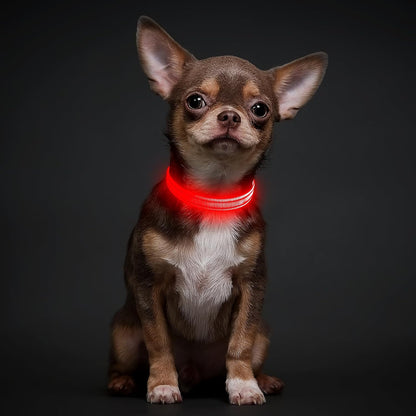 Light Up Dog Collar, USB Rechargeable LED Dog Collar Glow in the Dark，Adjustable Pet Safety Lights for Night Walking (Green, Medium)
