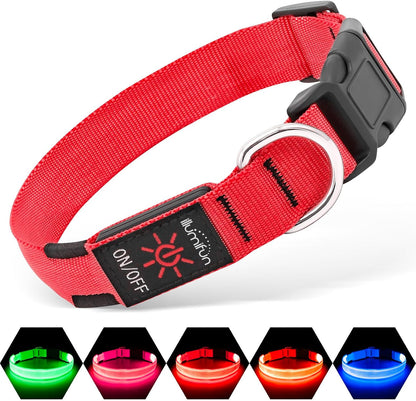 Light Up Dog Collar, USB Rechargeable LED Dog Collar Glow in the Dark，Adjustable Pet Safety Lights for Night Walking (Green, Medium)
