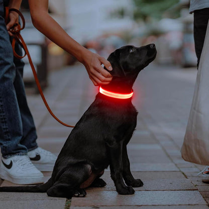 Light Up Dog Collar, USB Rechargeable LED Dog Collar Glow in the Dark，Adjustable Pet Safety Lights for Night Walking (Green, Medium)