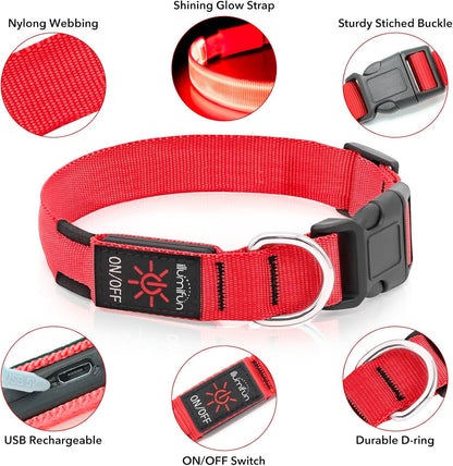 Light Up Dog Collar, USB Rechargeable LED Dog Collar Glow in the Dark，Adjustable Pet Safety Lights for Night Walking (Green, Medium)
