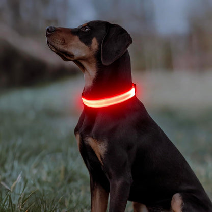 Light Up Dog Collar, USB Rechargeable LED Dog Collar Glow in the Dark，Adjustable Pet Safety Lights for Night Walking (Green, Medium)