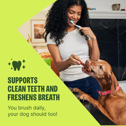 Whimzees Wellness Brushzees Natural Dog Dental Treat, VOHC Accepted Chews, Freshens Breath, Extra-Small Size, 12.7 oz Bag