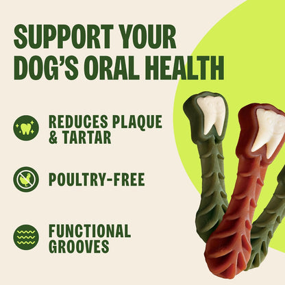 Whimzees Wellness Brushzees Natural Dog Dental Treat, VOHC Accepted Chews, Freshens Breath, Extra-Small Size, 12.7 oz Bag