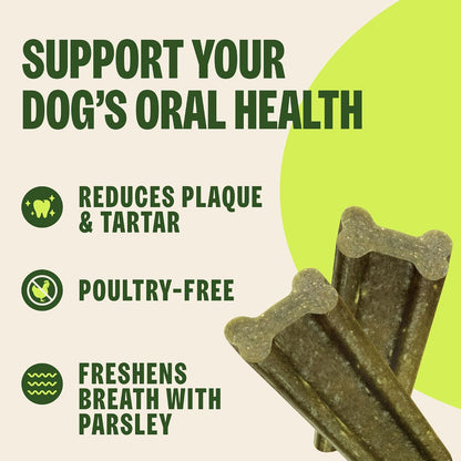 Whimzees Wellness Brushzees Natural Dog Dental Treat, VOHC Accepted Chews, Freshens Breath, Extra-Small Size, 12.7 oz Bag