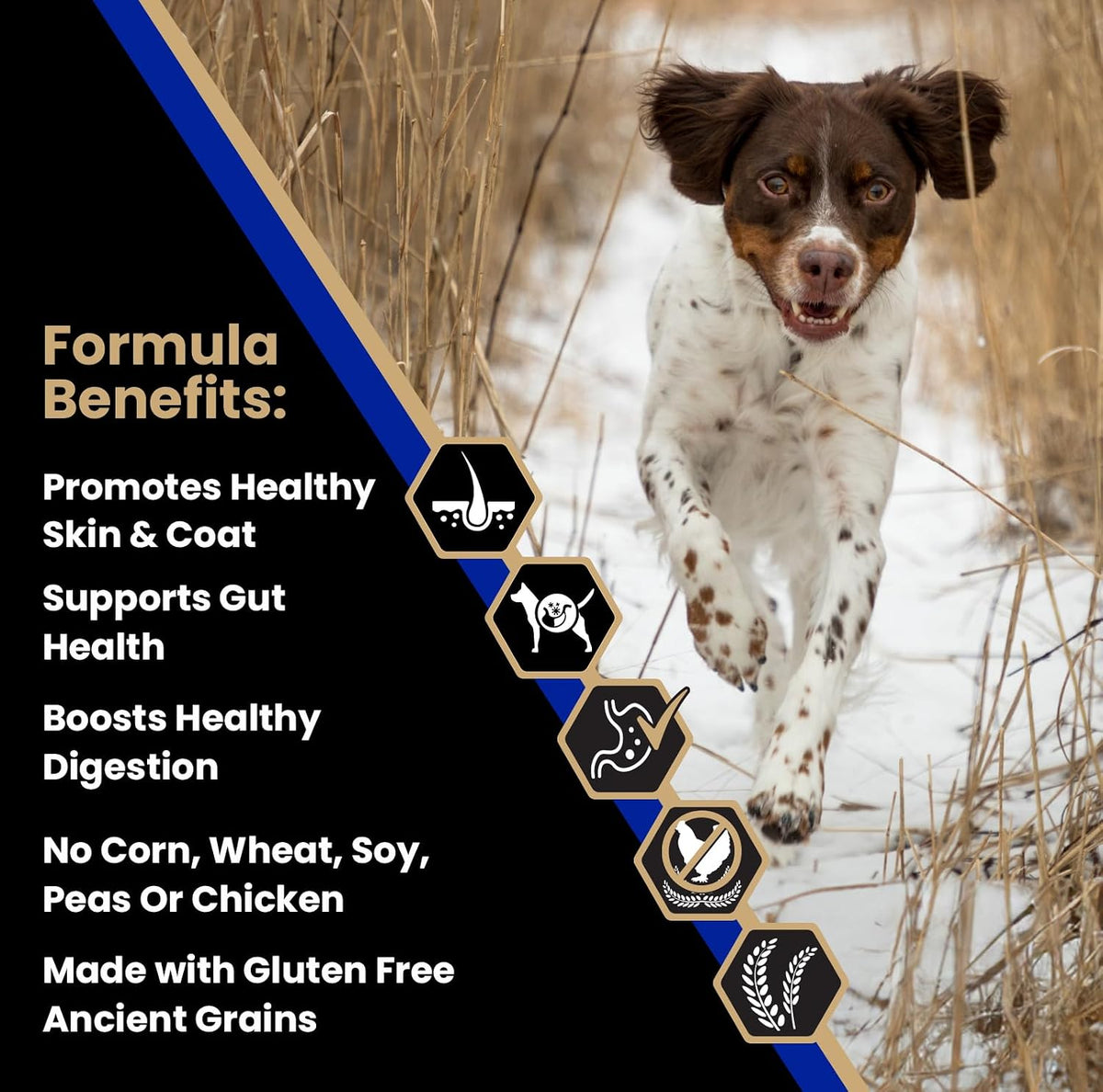 Sensitive Skin & Stomach - Beef Meal & Brown Rice Dog Food, 15 lb