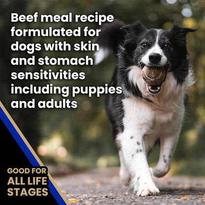Sensitive Skin & Stomach - Beef Meal & Brown Rice Dog Food, 15 lb