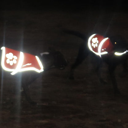 Reflective Dog Vest, Hi Vis Safety Gear for Low-Light Morning & Night Walks