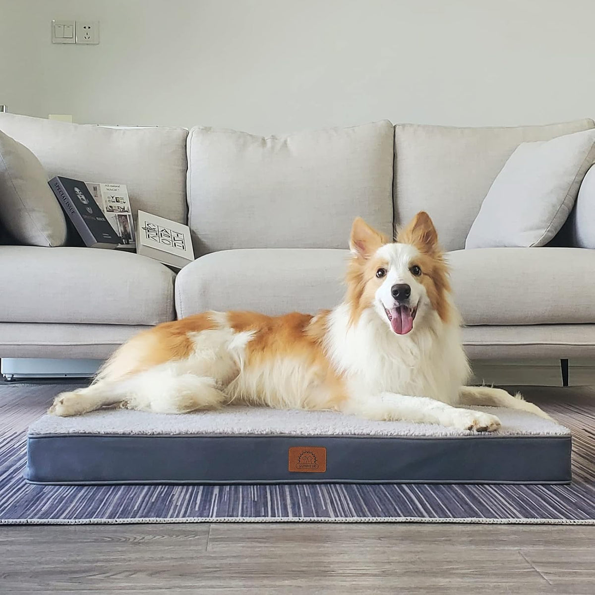 Waterproof Dog Bed Covers Replacement Washable, Pet Bed Cover Only | Removable Machine-Washable Soft Plush Cover in Easy-Clean, Non-Slip Bottom, Zipper Closure, 35x22x3 Inches, Grey