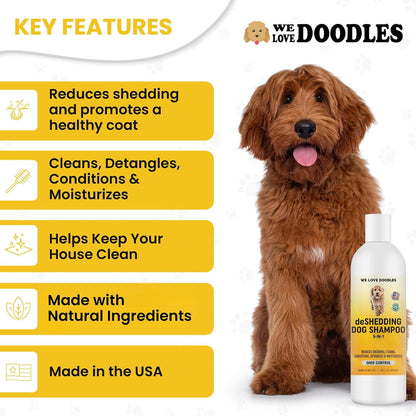 Premium Oatmeal Shampoo & Conditioner for Dogs with Sensitive & Itchy Skin