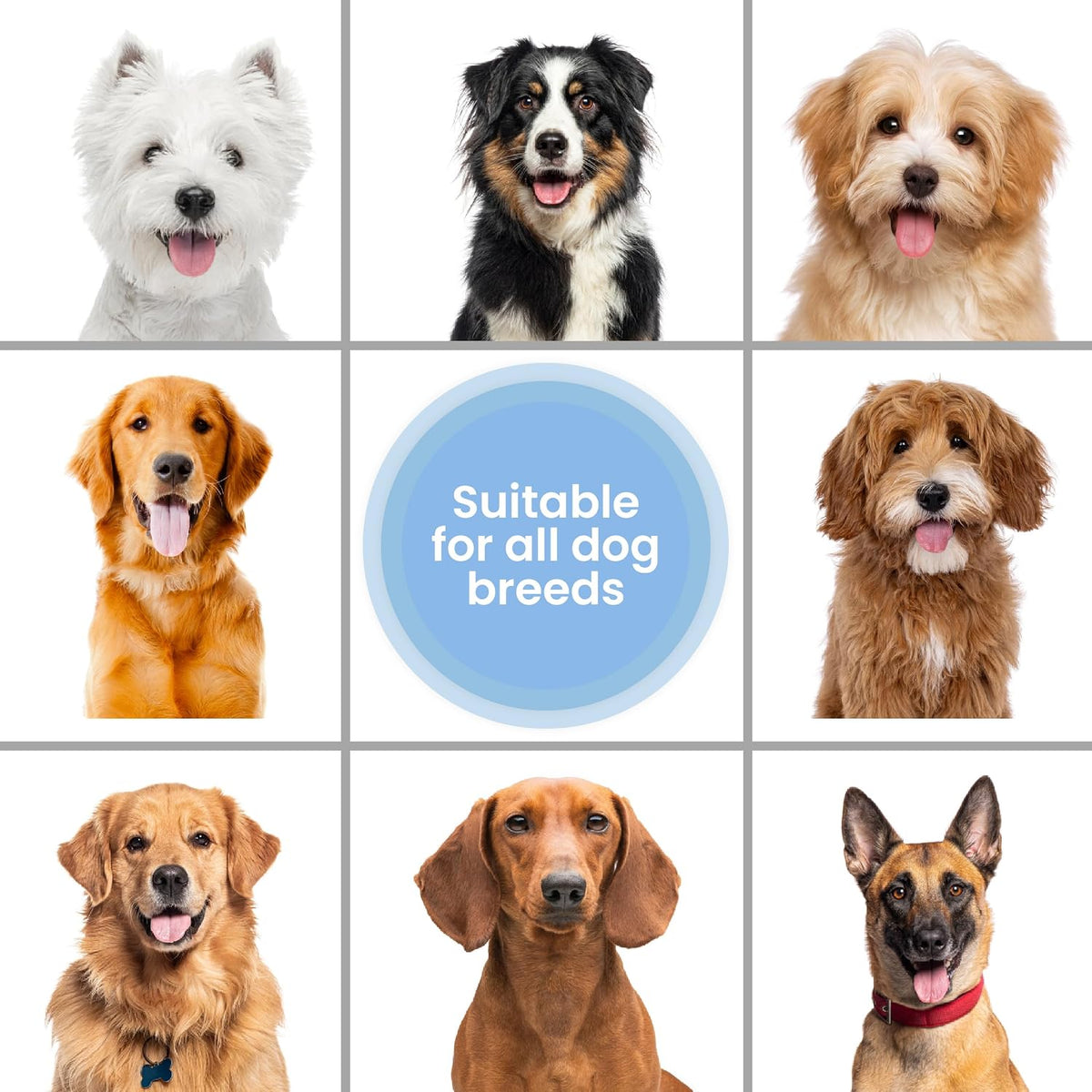 Premium Oatmeal Shampoo & Conditioner for Dogs with Sensitive & Itchy Skin