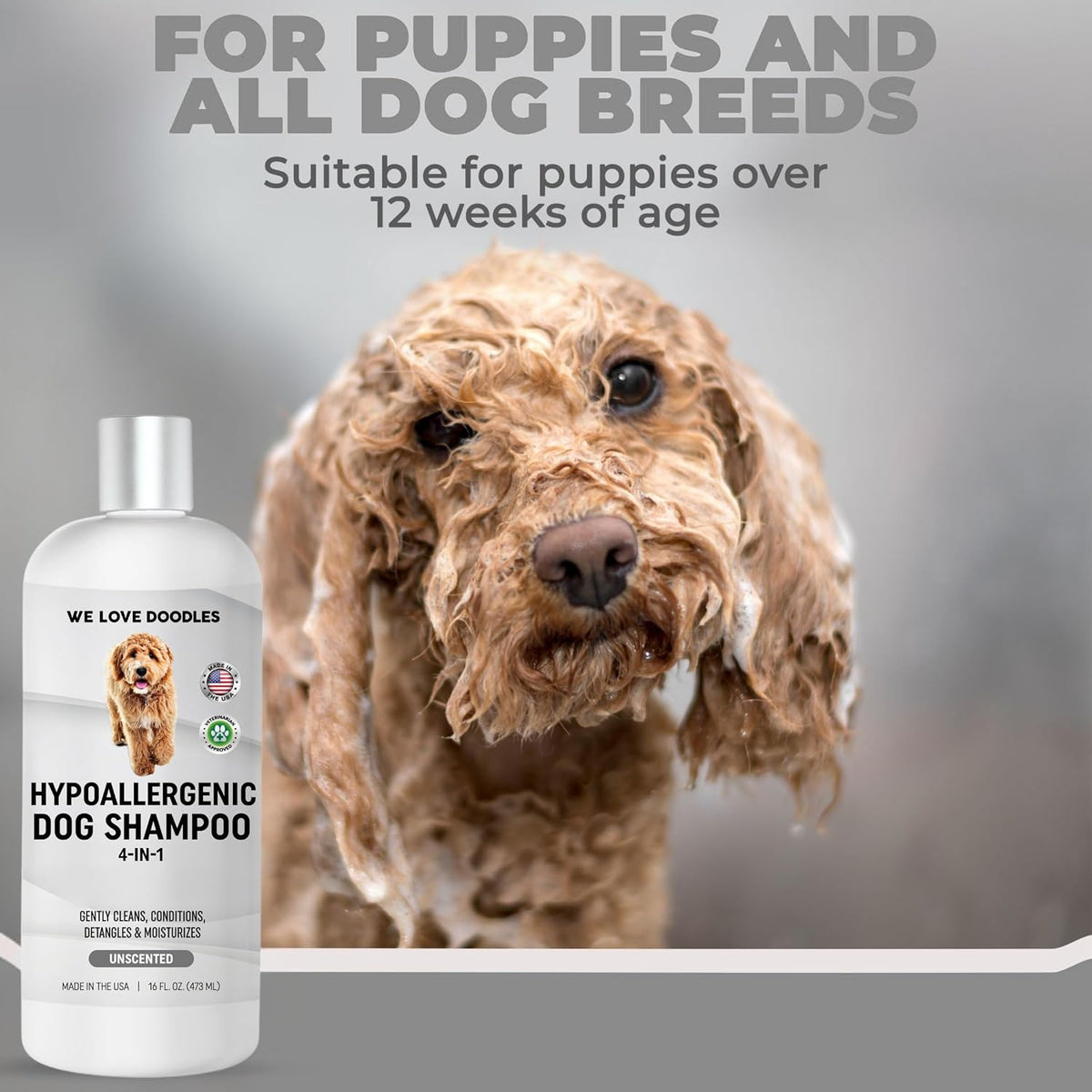 Premium Oatmeal Shampoo & Conditioner for Dogs with Sensitive & Itchy Skin