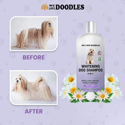 Premium Oatmeal Shampoo & Conditioner for Dogs with Sensitive & Itchy Skin