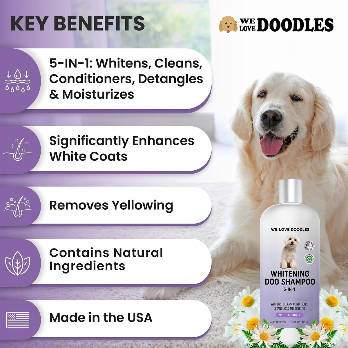 Premium Oatmeal Shampoo & Conditioner for Dogs with Sensitive & Itchy Skin