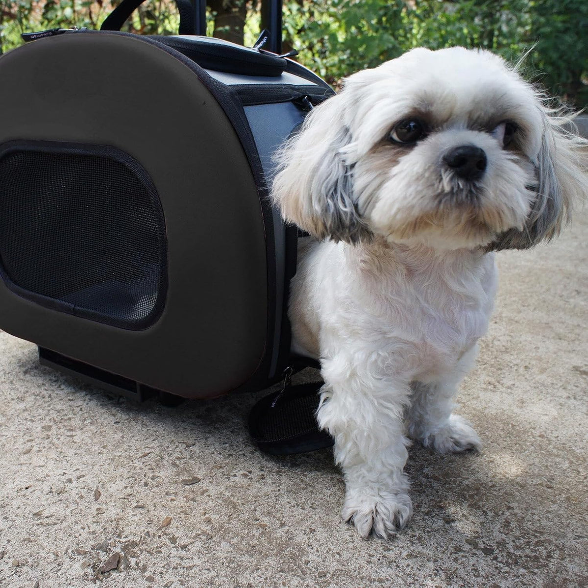 ® 'Final Destination' Military-Grade Hardshell and Light 2-in-1 Wheeled or Carrying Travel Airline Cat and Dog Carrier Crate or Portable Pet Kennel