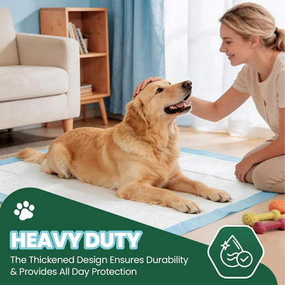 50 Pack Dog Pads XL, 30"x36" Great Value Puppy Pads