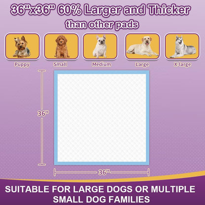50 Pack Dog Pads XL, 30"x36" Great Value Puppy Pads
