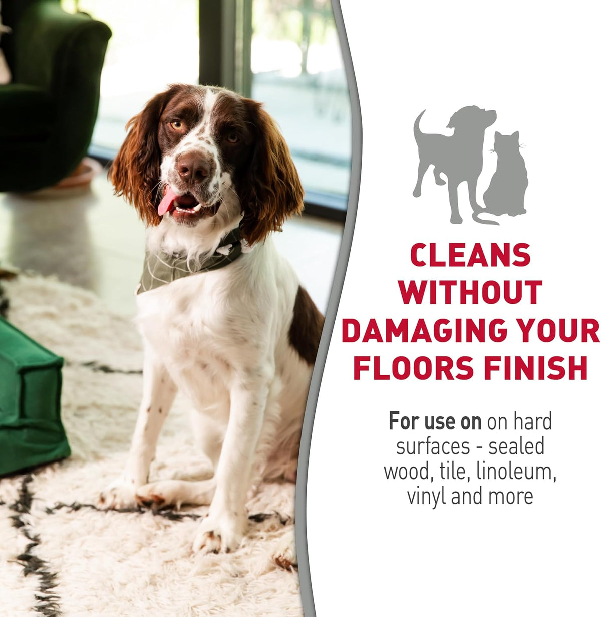 Hard Floor Cleaner, Stain & Odor Remover, 24 oz