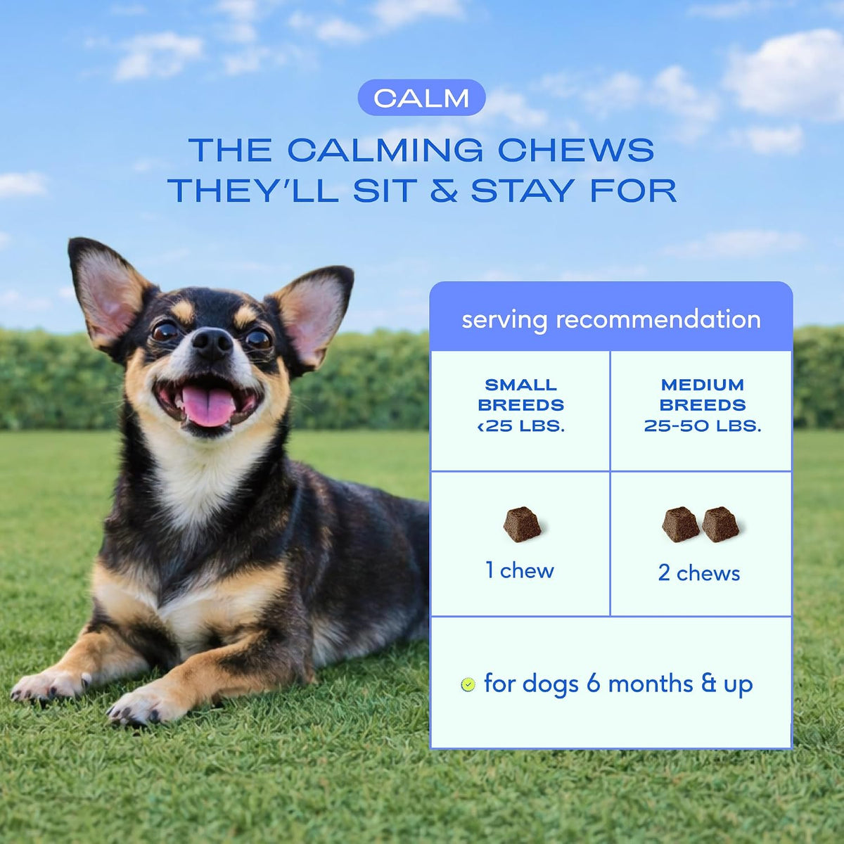 Calming Chews for Dogs - Promotes Calming Effect, Supports Emotional Balance & Reduces Hyperactivity - Hemp Seed, Melatonin for Dogs, L-Theanine & Casein - Air-Dried 30 Chews
