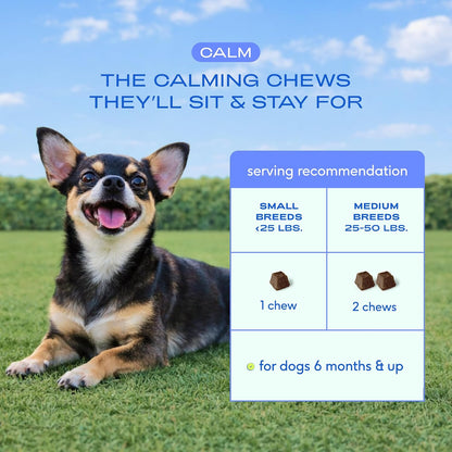 Calming Chews for Dogs - Promotes Calming Effect, Supports Emotional Balance & Reduces Hyperactivity - Hemp Seed, Melatonin for Dogs, L-Theanine & Casein - Air-Dried 30 Chews
