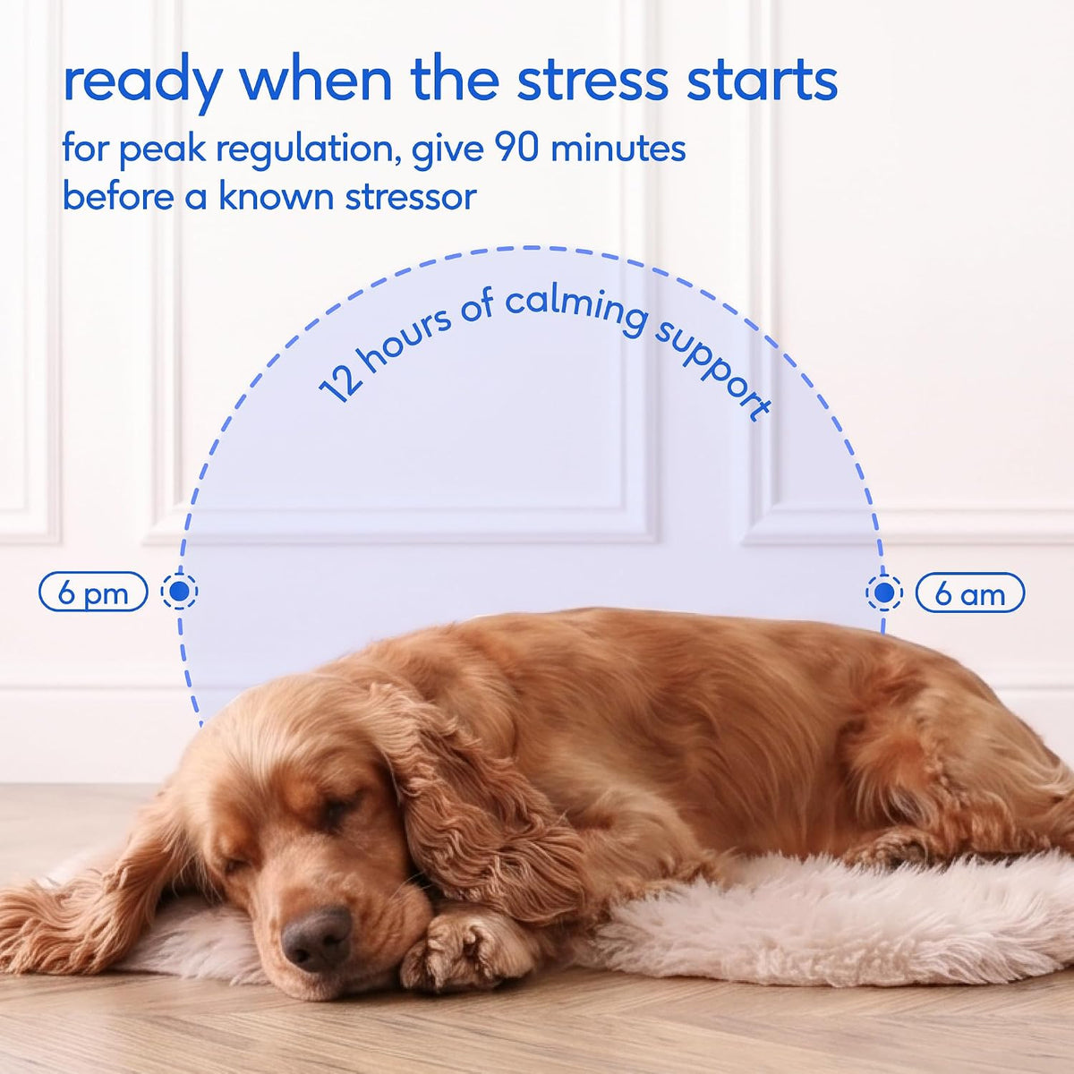 Calming Chews for Dogs - Promotes Calming Effect, Supports Emotional Balance & Reduces Hyperactivity - Hemp Seed, Melatonin for Dogs, L-Theanine & Casein - Air-Dried 30 Chews