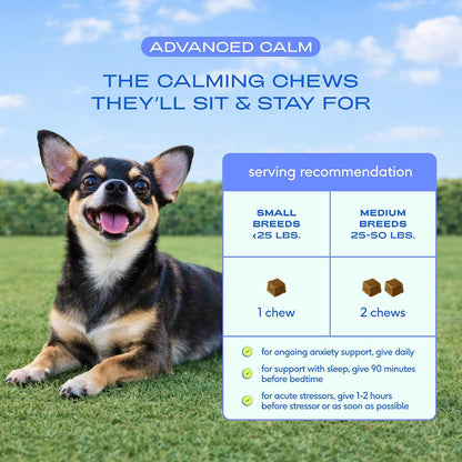 Calming Chews for Dogs - Promotes Calming Effect, Supports Emotional Balance & Reduces Hyperactivity - Hemp Seed, Melatonin for Dogs, L-Theanine & Casein - Air-Dried 30 Chews