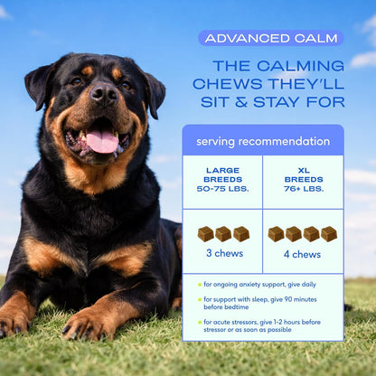 Calming Chews for Dogs - Promotes Calming Effect, Supports Emotional Balance & Reduces Hyperactivity - Hemp Seed, Melatonin for Dogs, L-Theanine & Casein - Air-Dried 30 Chews