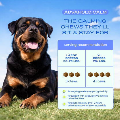 Calming Chews for Dogs - Promotes Calming Effect, Supports Emotional Balance & Reduces Hyperactivity - Hemp Seed, Melatonin for Dogs, L-Theanine & Casein - Air-Dried 30 Chews
