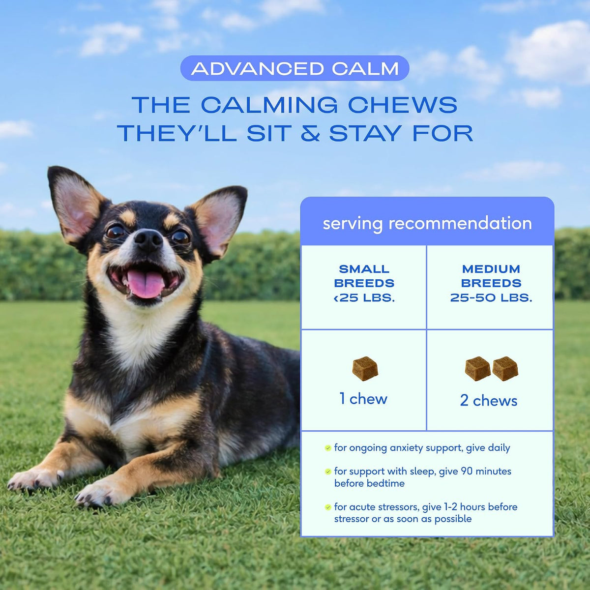 Calming Chews for Dogs - Promotes Calming Effect, Supports Emotional Balance & Reduces Hyperactivity - Hemp Seed, Melatonin for Dogs, L-Theanine & Casein - Air-Dried 30 Chews