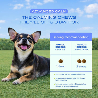 Calming Chews for Dogs - Promotes Calming Effect, Supports Emotional Balance & Reduces Hyperactivity - Hemp Seed, Melatonin for Dogs, L-Theanine & Casein - Air-Dried 30 Chews