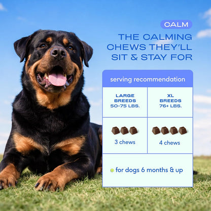 Calming Chews for Dogs - Promotes Calming Effect, Supports Emotional Balance & Reduces Hyperactivity - Hemp Seed, Melatonin for Dogs, L-Theanine & Casein - Air-Dried 30 Chews