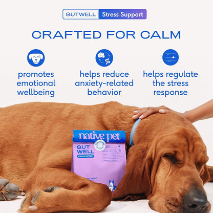 Calming Chews for Dogs - Promotes Calming Effect, Supports Emotional Balance & Reduces Hyperactivity - Hemp Seed, Melatonin for Dogs, L-Theanine & Casein - Air-Dried 30 Chews