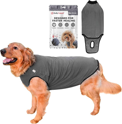 Dog Surgery Recovery Suit, Male Female After Spay Neuter Onesie
