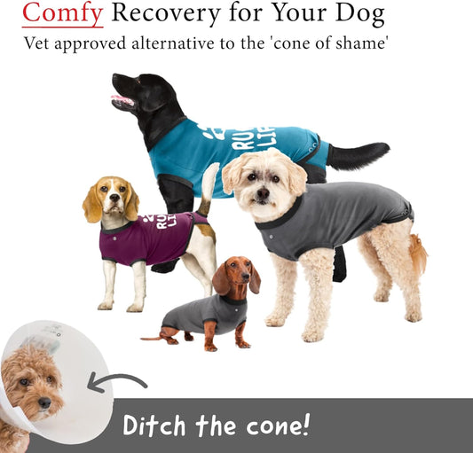 Dog Surgery Recovery Suit, Male Female After Spay Neuter Onesie