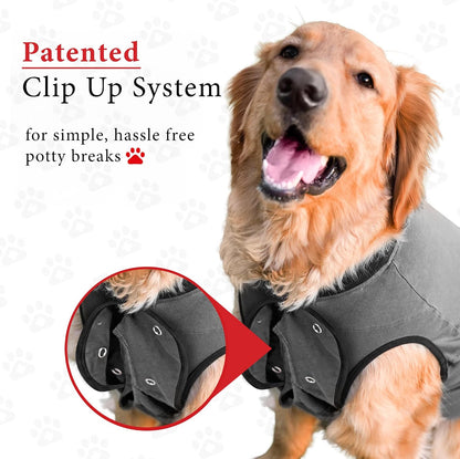 Dog Surgery Recovery Suit, Male Female After Spay Neuter Onesie
