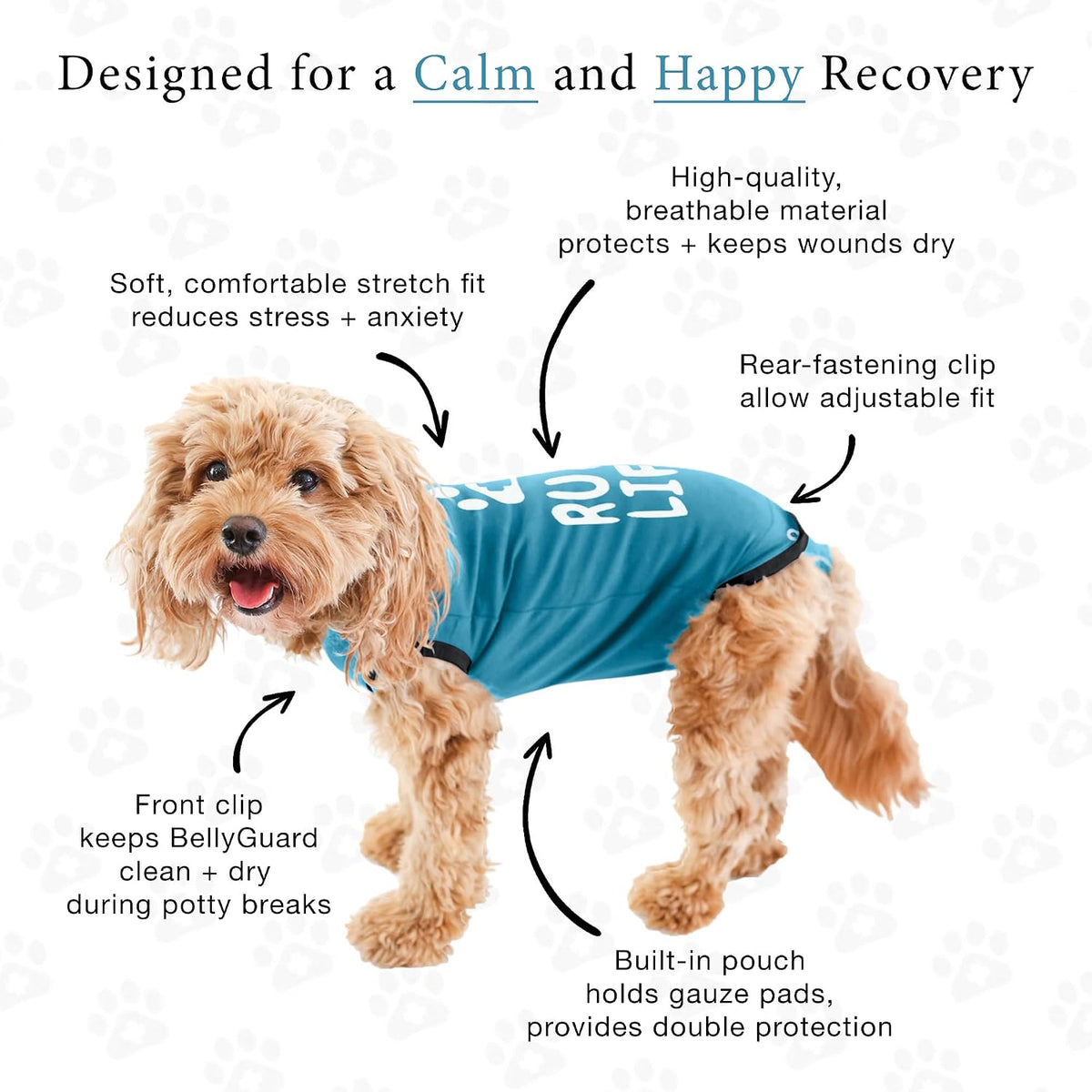 Dog Surgery Recovery Suit, Male Female After Spay Neuter Onesie