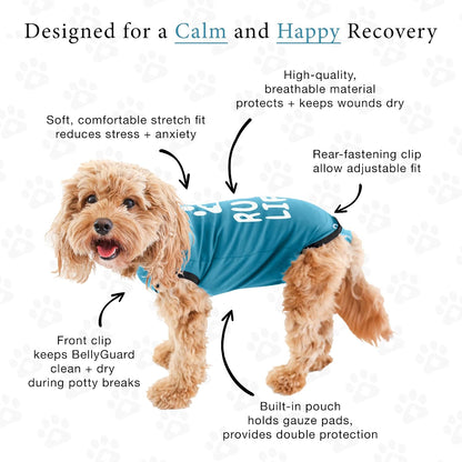 Dog Surgery Recovery Suit, Male Female After Spay Neuter Onesie