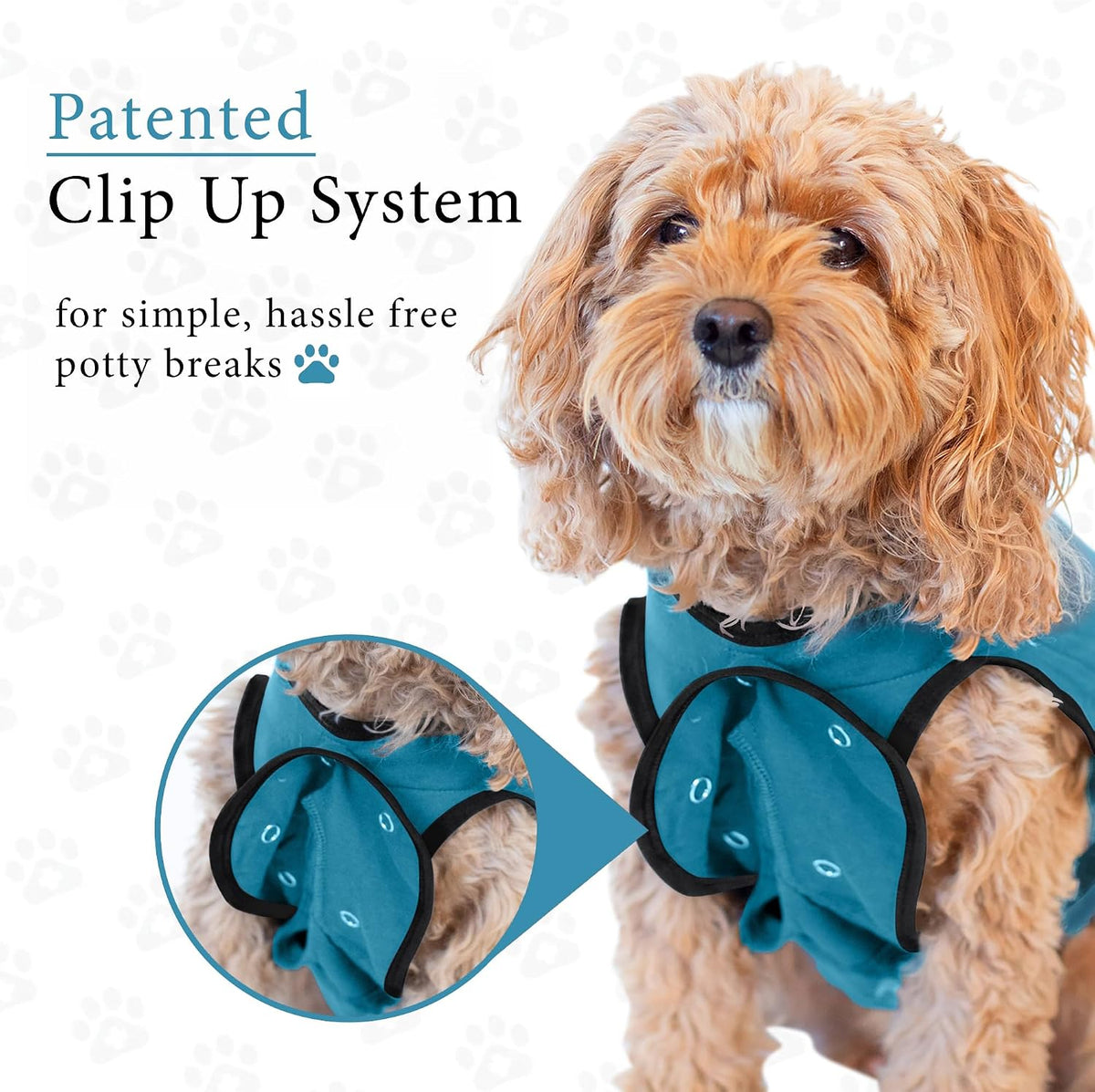 Dog Surgery Recovery Suit, Male Female After Spay Neuter Onesie