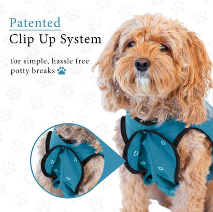 Dog Surgery Recovery Suit, Male Female After Spay Neuter Onesie